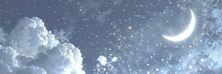 SFervi's profile banner image