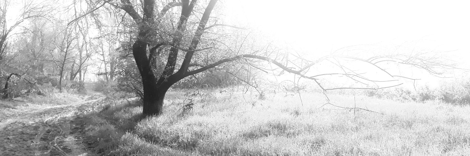 Era63ra's profile banner image