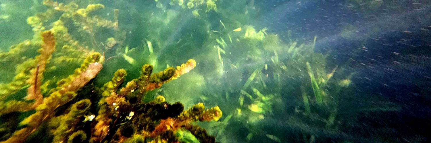 u∩ɟԀᴉ˥ɟ banner