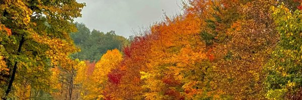 edupree56 Profile Banner