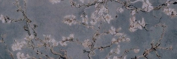 DxntLxtMeDown's profile banner image