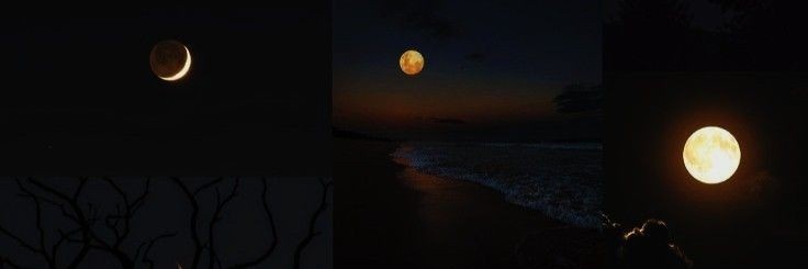 midnightr41n's profile banner image
