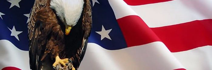 Ro1951's profile banner image