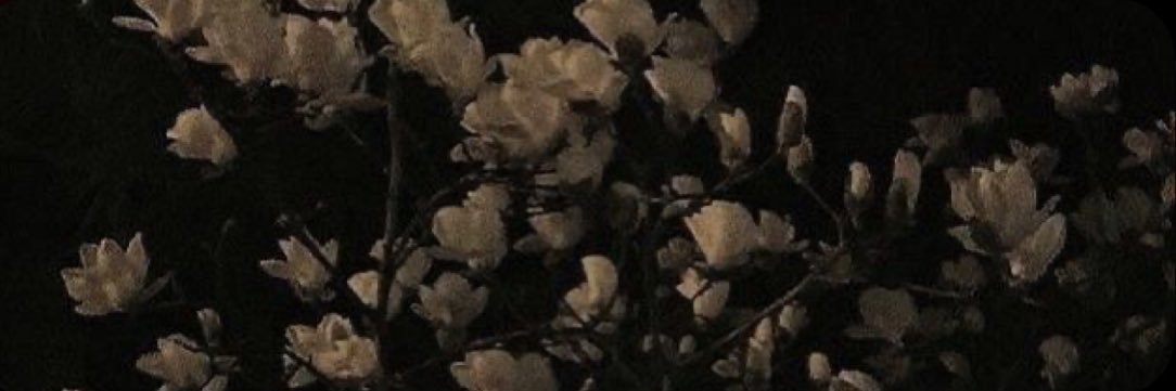 s1vul's profile banner image