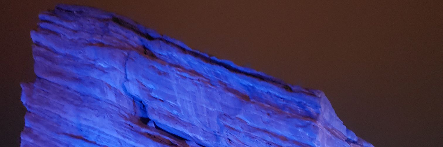 lizzy_bruce's profile banner image