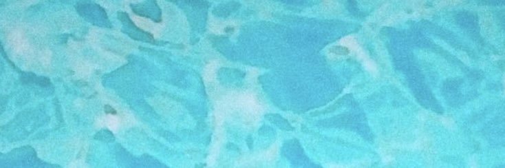 angelina banner