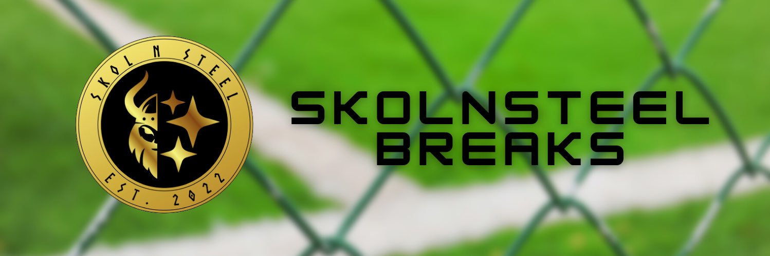 SkolnSteel's profile banner image