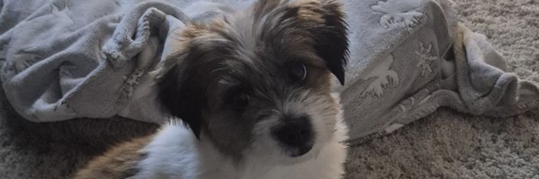 cmbslipnot Profile Banner