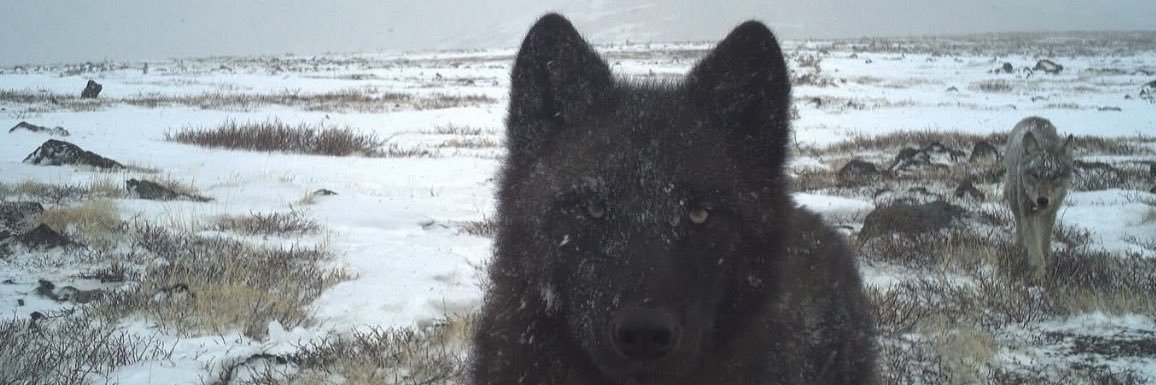 Cold Hard Sats banner