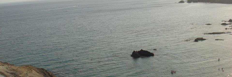 silvieta_99's profile banner image