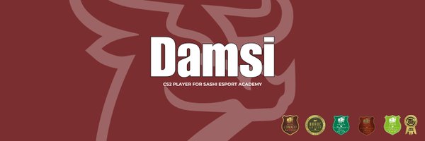 DamsiCSGO Profile Banner