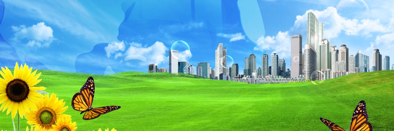 Mitchell Shepherd banner