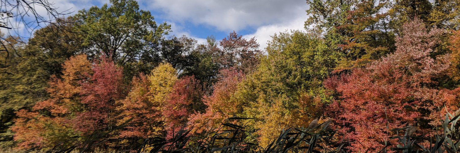 JZolo's profile banner image