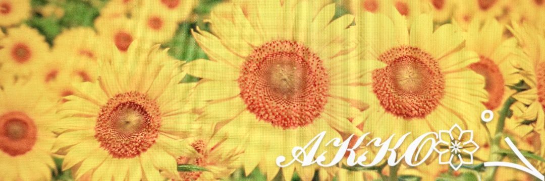 あっこ's banner