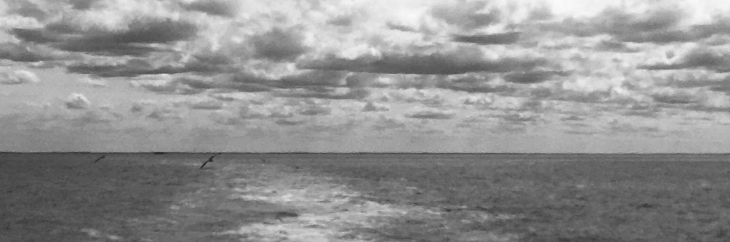 beckysop banner