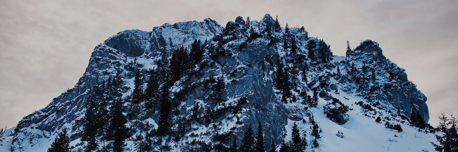 AnthonyTeltsch1's profile banner image