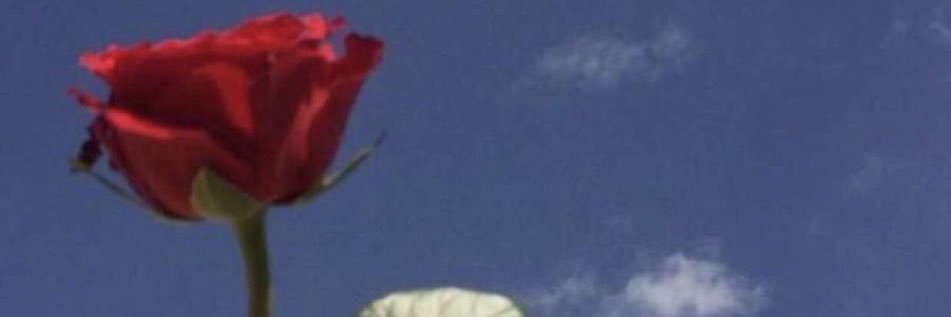 ghym90's profile banner image