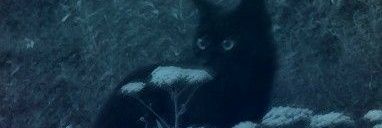 Alyzx🇬🇷 banner