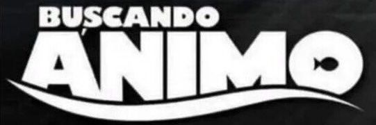 AriSerenelli's profile banner image