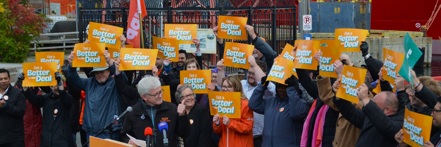 The NL NDP banner