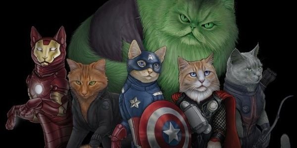 JacksonKaity's profile banner image
