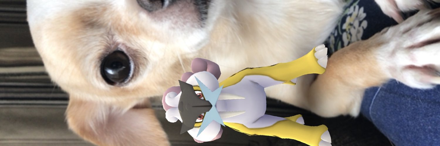 LegendarySelii's profile banner image