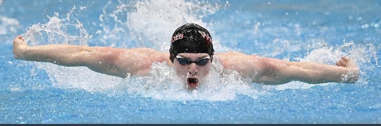 Brenden Stuhltrager banner