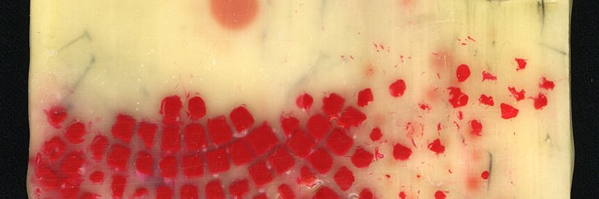 Stephen Workman banner