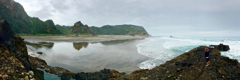 Michelle Hurd banner