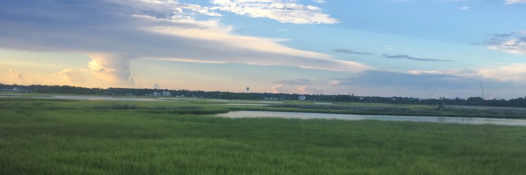 Anthony Grieco banner