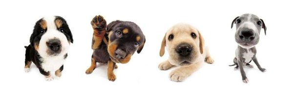 worm_mister Profile Banner