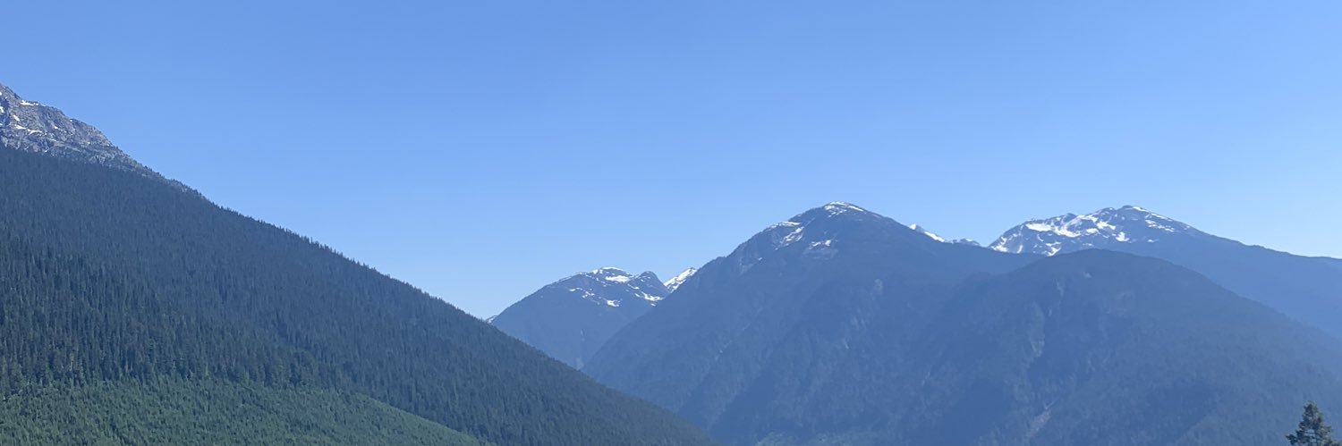 Davitto banner