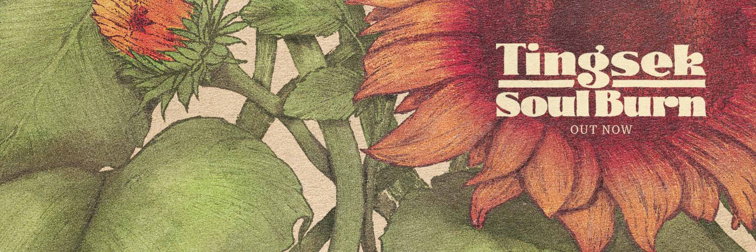 Tingsek banner