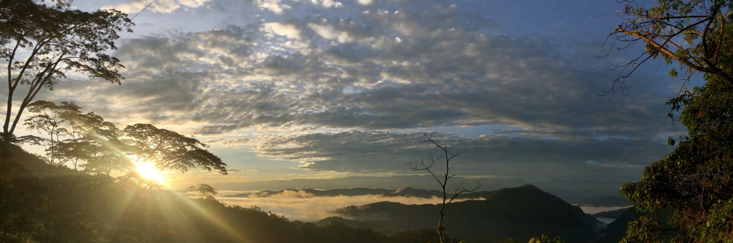 mitziflorezb's profile banner image