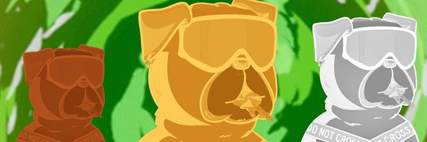 SoxialSecurity Profile Banner