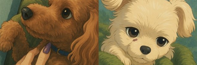 05ns13's profile banner image