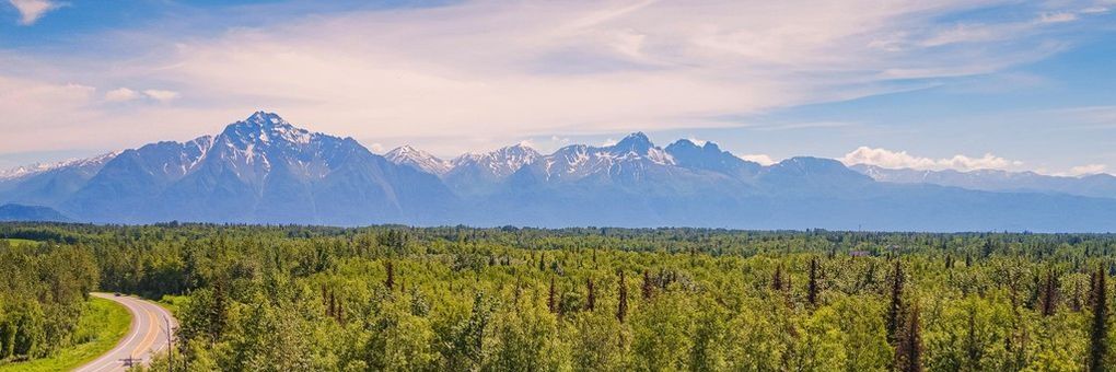Cate_n_Alaska's profile banner image