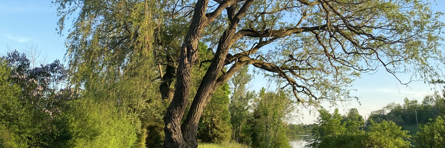 Frequent Crier Club- Lifetime Member banner