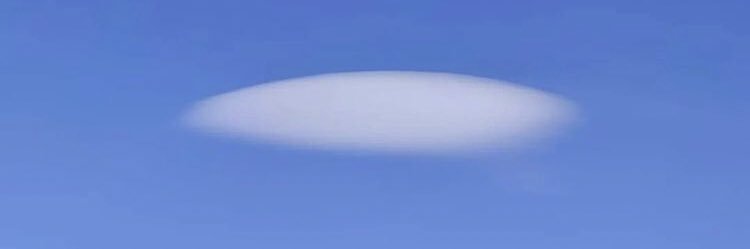 Francesco Falcioni banner