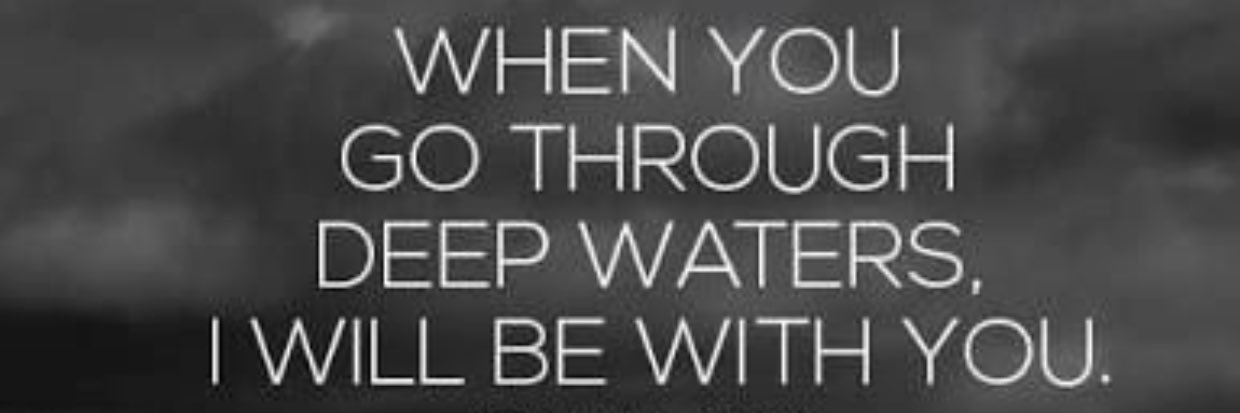 Tanner Freeman banner