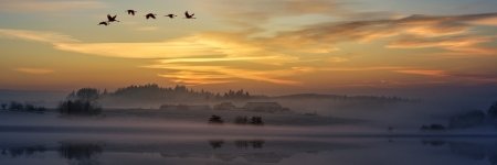 elnora_eln's profile banner image