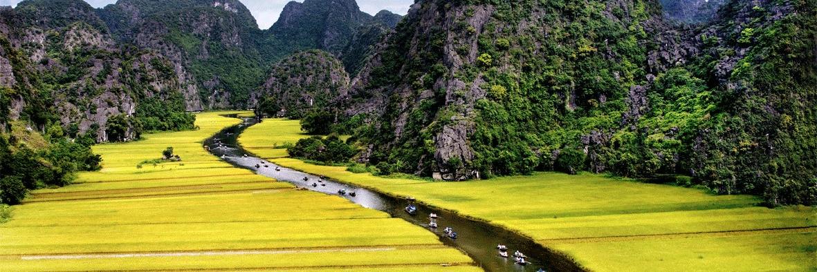 ngonpham's profile banner image
