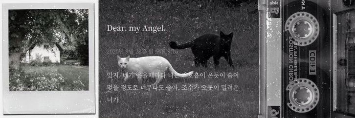 park jeongwoo's lovetaker #1312 banner