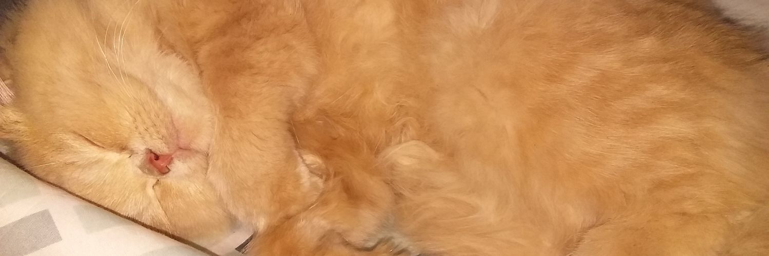 Namoussa1925's profile banner image