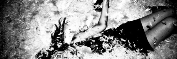 TheTabooGroup Profile Banner