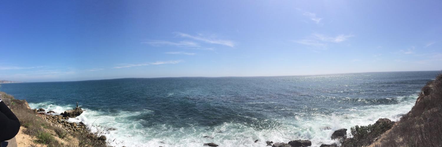 marissaells's profile banner image