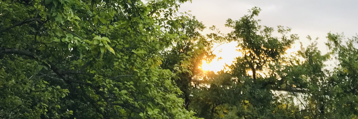 samseishvili's profile banner image
