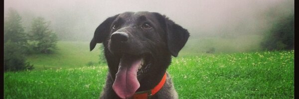 TheRyanTPerry Profile Banner