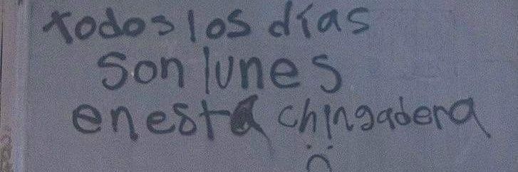 Mafer who? banner