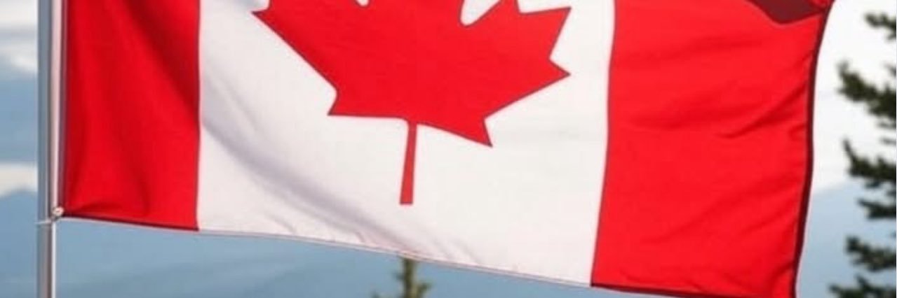 NorthernStrategist banner